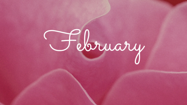 February wallpapers for your desktop-February pink petals.